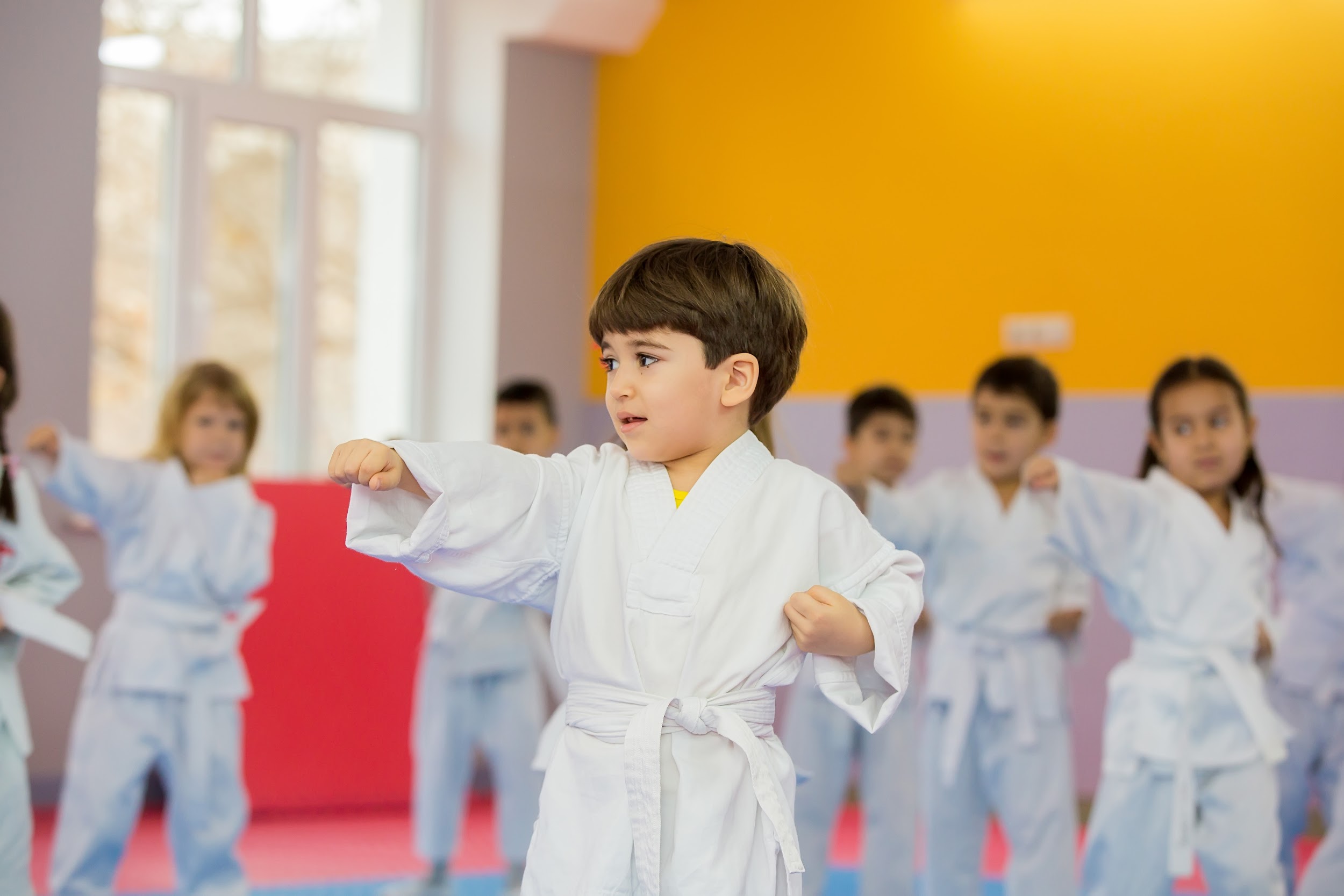 ���������� + ����� �������: ����.